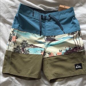 Quiksilver boys Multicolor Board Shorts